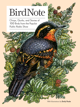 Cover image: BirdNote 9781632171696