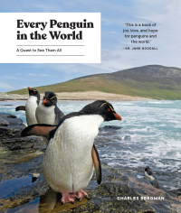 Cover image: Every Penguin in the World 9781632172662