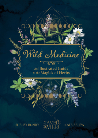 Cover image: Wild Medicine 9781632174970