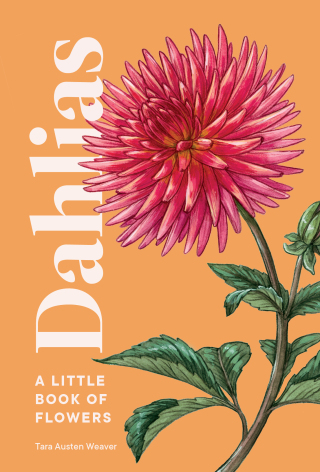 Cover image: Dahlias 9781632173614
