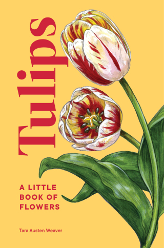 Cover image: Tulips 9781632174444
