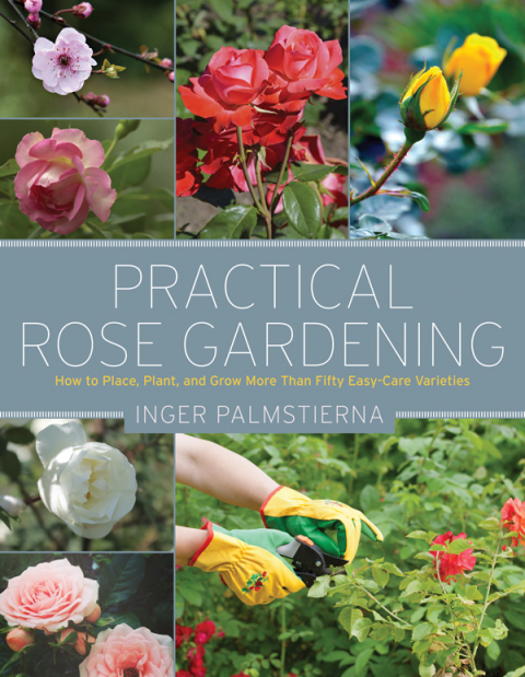 Practical Rose Gardening: How to Place, Plant, and Grow More Than Fifty Easy-Care Varieties - FULL INSTANT DOWNLOAD | PDF DOCX EPUB