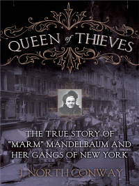 Cover image: Queen of Thieves 9781629144351