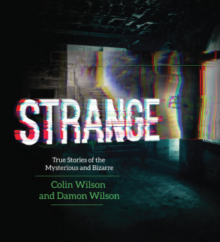 Cover image: Strange 9781629144573