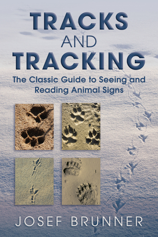 Cover image: Tracks and Tracking 9781629144580