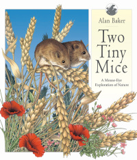Cover image: Two Tiny Mice 9781629146270