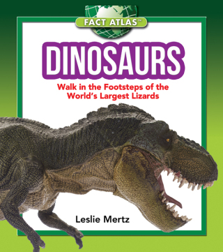 Cover image: Dinosaurs 9781632204363
