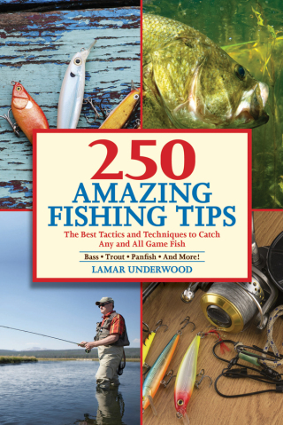Cover image: 250 Amazing Fishing Tips 9781632203021