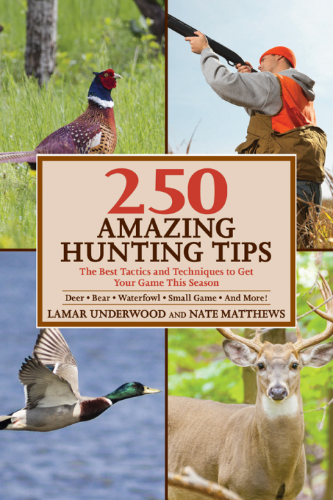 250 Amazing Hunting Tips: The Best Tactics and Techniques to Get Your Game This Season - FULL INSTANT DOWNLOAD | PDF DOCX EPUB