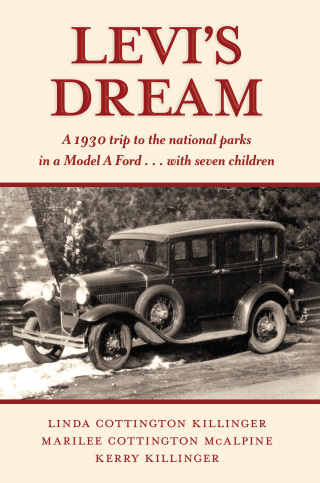 صورة الغلاف: Levi's Dream 1st edition 9781632260994