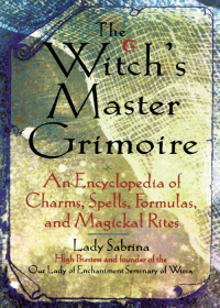 Titelbild: Witch's Master Grimoire 9781564144829