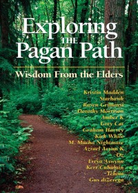 Imagen de portada: Exploring the Pagan Path 9781564147882