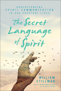 Titelbild: The Secret Language of Spirit 9781632651228