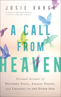 Omslagafbeelding: A Call From Heaven 9781632650818
