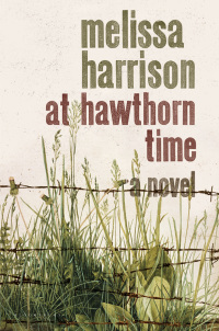 Cover image: At Hawthorn Time 1st edition 9781620409947