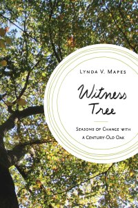 Imagen de portada: Witness Tree 1st edition 9781632862532