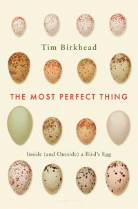 Cover image: The Most Perfect Thing 1st edition 9781632863690