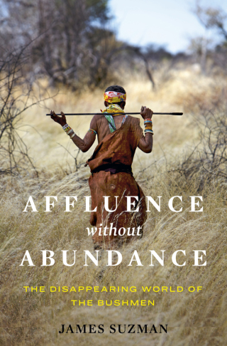 Cover image: Affluence Without Abundance 1st edition 9781526609311