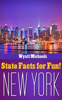 Cover image: State Facts for Fun! New York