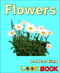 Cover image: Flowers