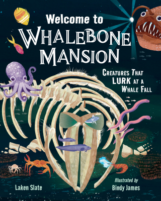 Cover image: Welcome to Whalebone Mansion 9781623545789