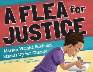 Cover image: A Flea For Justice 9781623545826