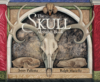 Cover image: The Skull Alphabet Book 9780881069143