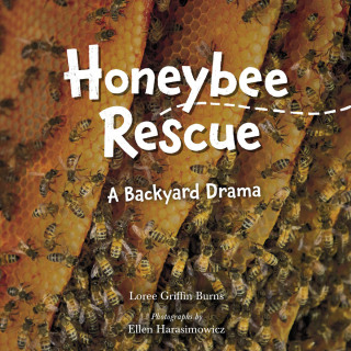 Cover image: Honeybee Rescue 9781623542399