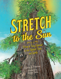 Cover image: Stretch to the Sun 9781580897716