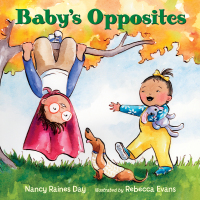 Cover image: Baby's Opposites 9781580898782