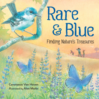 Cover image: Rare and Blue 9781623540975