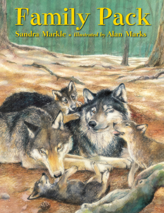 Cover image: Family Pack 9781580892186