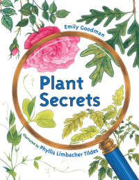 Cover image: Plant Secrets 9781580892056