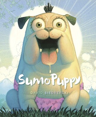 Cover image: SumoPuppy 9781623543013