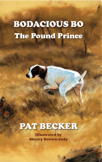 Cover image: Bodacious Bo The Pound Prince 9781633020405