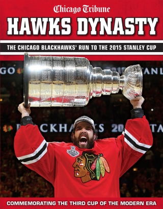 Imagen de portada: Hawks Dynasty 9781629370644