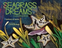 Omslagafbeelding: Seagrass Dreams 9781633221253