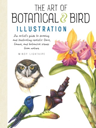 Cover image: Art of Botanical & Bird Illustration 9781633223783