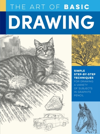 Cover image: Art of Basic Drawing 9781633228320