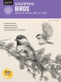 Cover image: Drawing: Birds 9781633228504