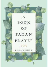 表紙画像: A Book of Pagan Prayer 9781578636495