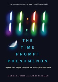 Immagine di copertina: 11:11 The Time Prompt Phenomenon 9781632651679