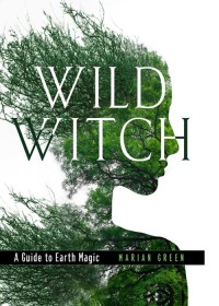 Cover image: Wild Witch 9781578636877