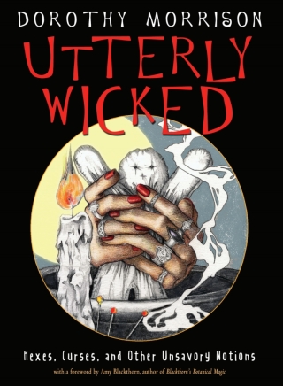 Imagen de portada: Utterly Wicked 9781578636969