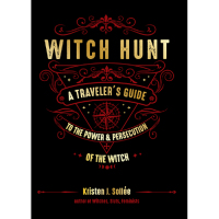 Imagen de portada: Witch Hunt 9781578636990