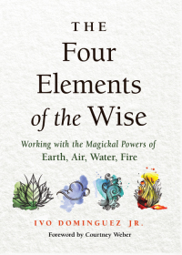 Omslagafbeelding: Four Elements of the Wise 9781578637102