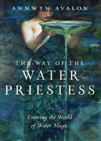 Immagine di copertina: The Way of the Water Priestess 9781578637249