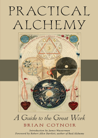 صورة الغلاف: Practical Alchemy 9781578637478