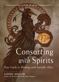 Cover image: Consorting with Spirits 9781578637553