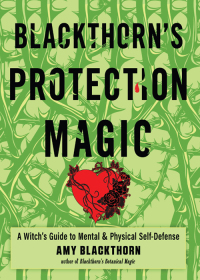 Omslagafbeelding: Blackthorn's Protection Magic 9781578637614